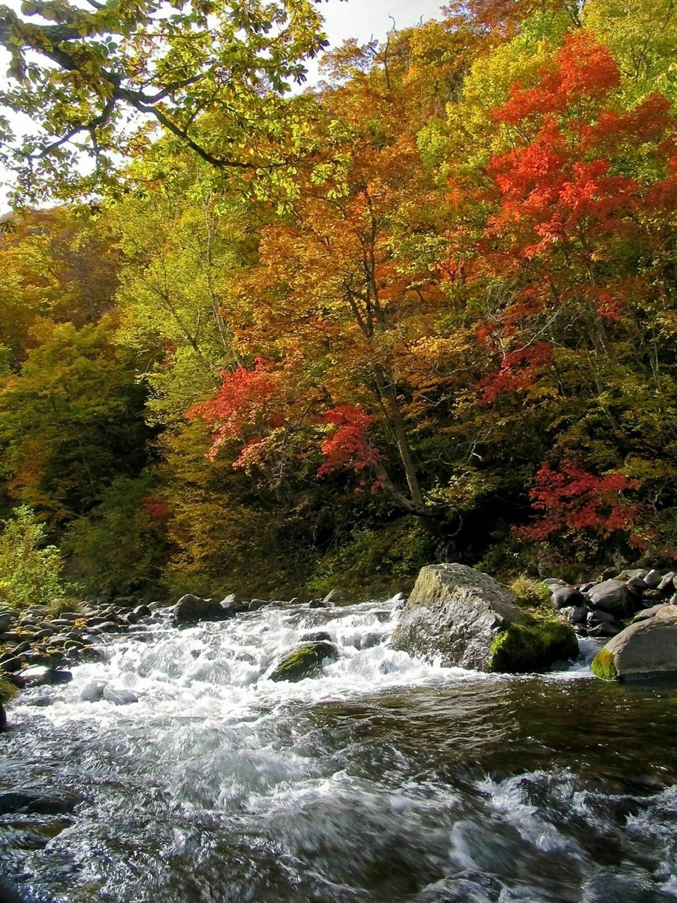 Kidoike Onsen Hotel Yamanouchi  Eksteriør billede